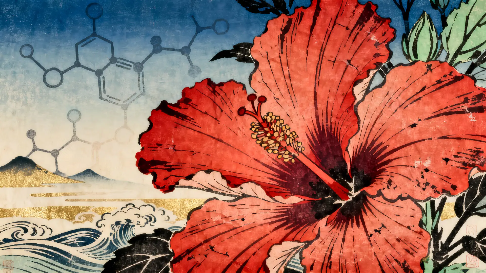 فوائد الكركديه للبروستاتا